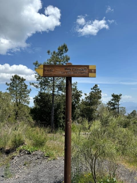 Vesuvio Bike Tour: Summit Ride and Entrance Ticket - Pricing and What You Get