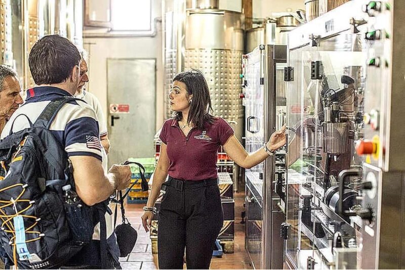 Vesuvio National Park: Wine Tasting & Tour with Light Lunch - Who Should Consider This Tour?