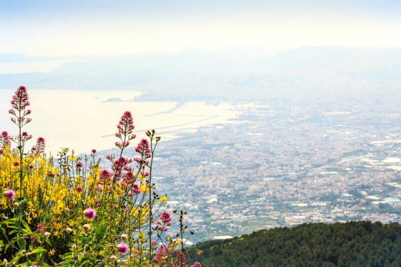 Vesuvio Skip The Line Ticket With Digital Audioguide - What to Expect from Your Vesuvius Visit