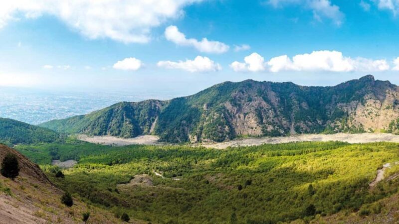 Vesuvius: River of Lava - Excursion & Tasting with an Official Guide - Key Points