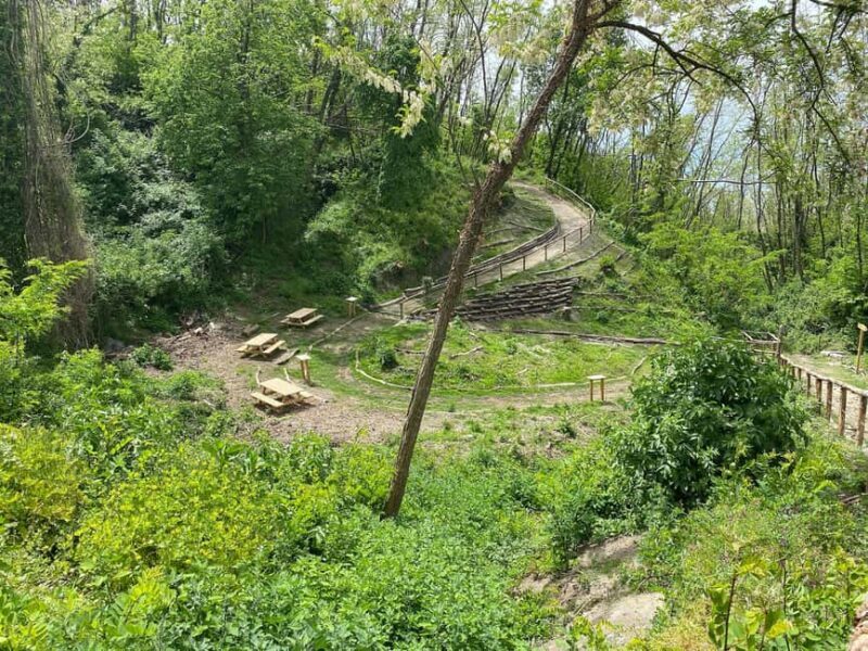 Vesuvius: River of Lava - Excursion & Tasting with an Official Guide - Practical Details and Logistics