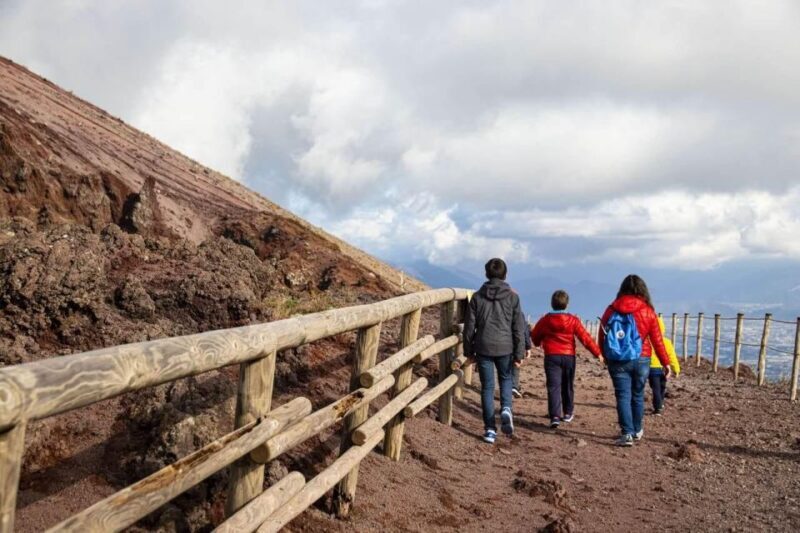 Vesuvius: Skip-the-line tickets with round trip transport - Who Should Consider This Tour?