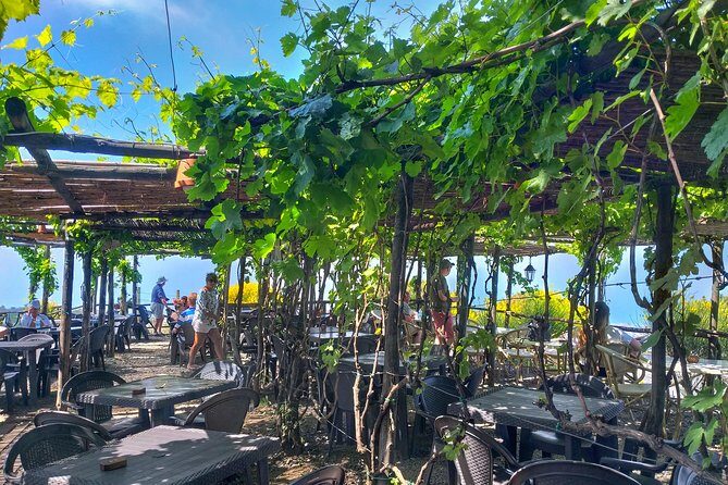 Vesuvius & Vineyard select from Sorrento - FAQs