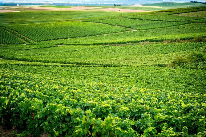 Veuve Clicquot Tour From Paris - Price and Value