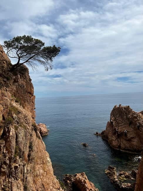 Via Ferrata Adventure in Costa Brava + Transport - Who Is This Tour Perfect For?