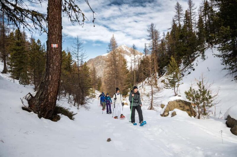 Vialattea: Snowshoeing in the Snowy Forest - A Mountain Refuge Lunch: The Cherry on Top