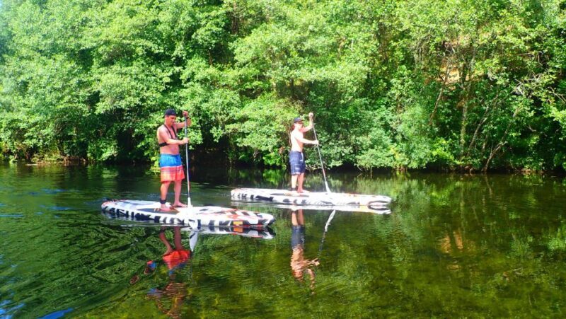 Viana do Castelo: Vez River SUP with Transfer Options - What to Expect on this SUP Tour