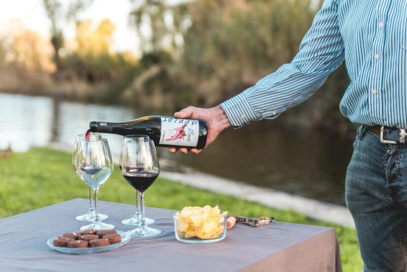 Viareggio: Marshes Electric Boat Tour with Wine Tasting - Key Points