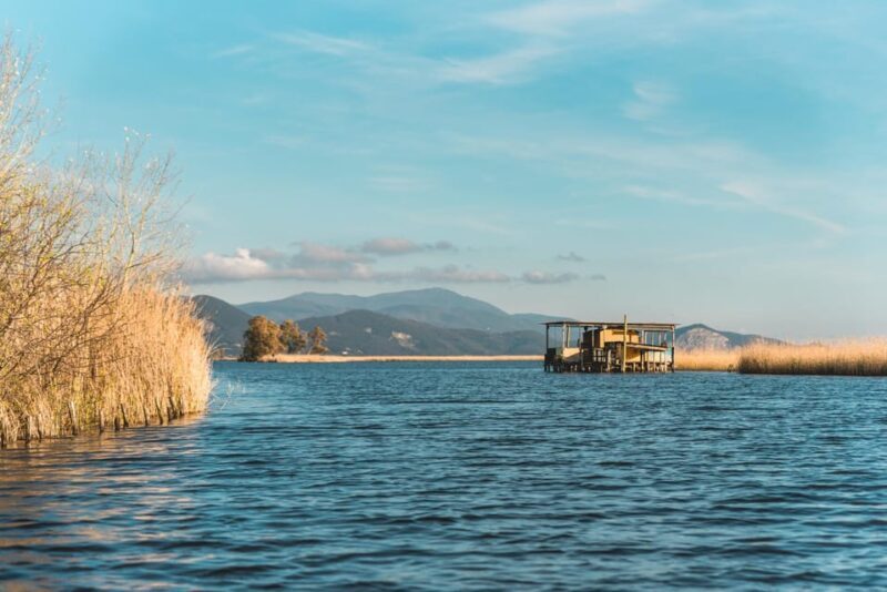 Viareggio: Marshes Electric Boat Tour with Wine Tasting - Practicalities and Tips for Your Tour