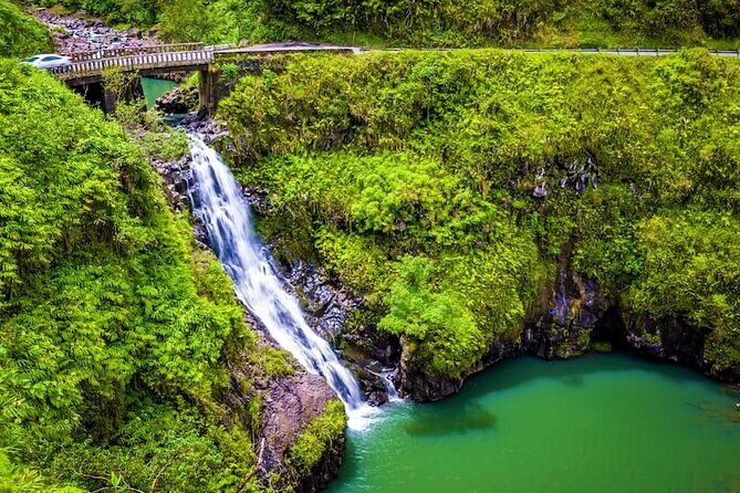 Viator Exclusive: Maui Tropical Rainforest Small Group Tour - What We Love About This Tour