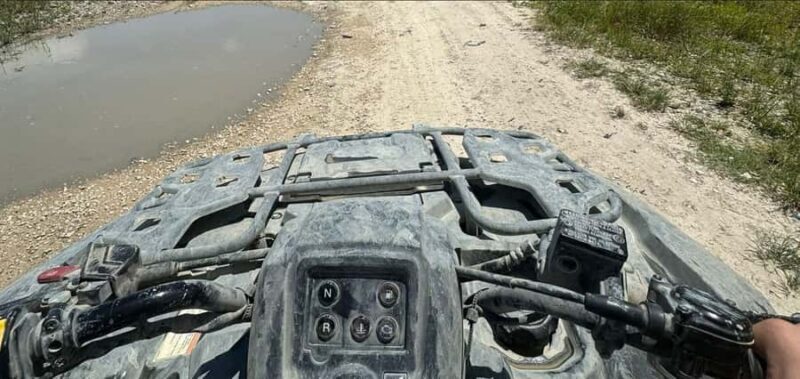 Vice Atv Riding of North Beach - What the Reviews Say