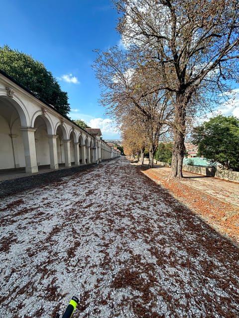 Vicenza: discovering the city of Palladio by e-bike - The Experience from a Traveler’s Perspective