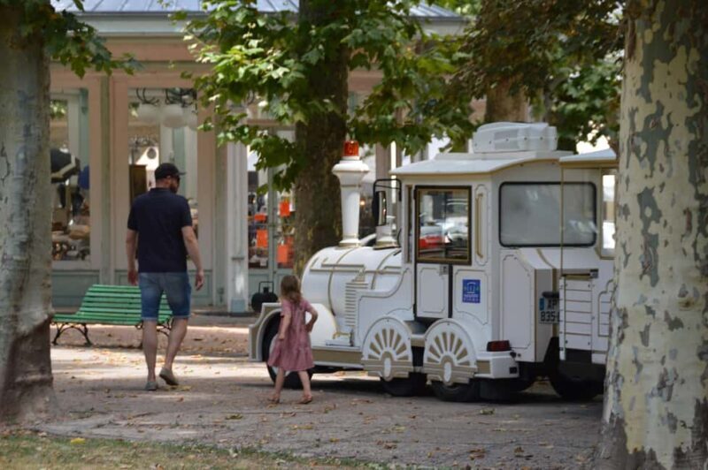 Vichy: Express Walk with a Local - FAQs