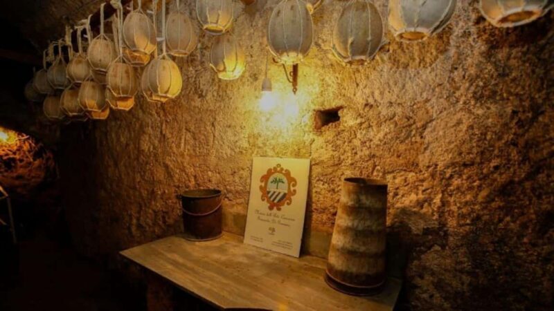 Vico Equense: Provolone del Monaco DOP Cheese Tasting - Key Points