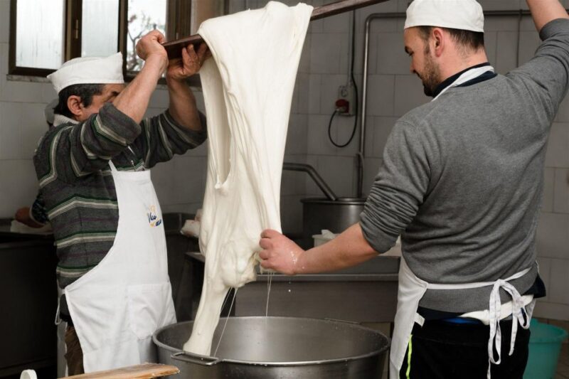 Vico Equense: Tour in the dairy "Mozzarella Experience" - What to Expect from the Mozzarella Experience