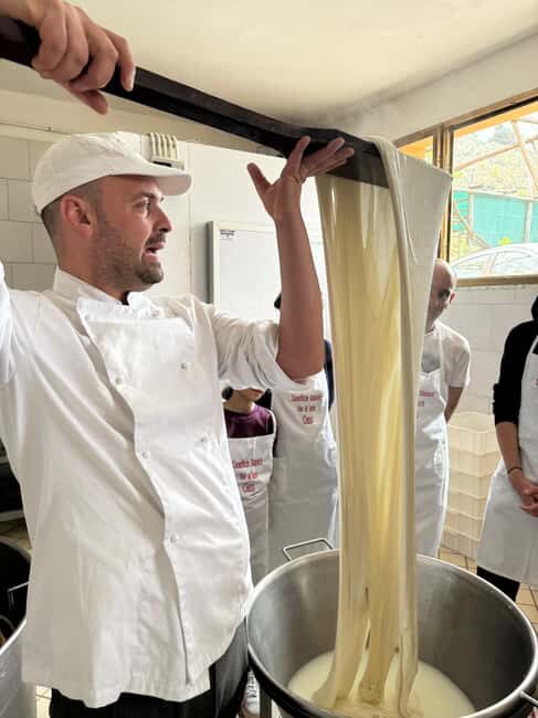 Vico Equense: Tour in the dairy "Mozzarella Experience" - Accessibility and Practicalities