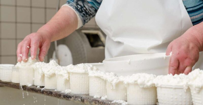 Vico Equense: Tour in the dairy "Mozzarella Experience" - Who Should Consider This Tour?