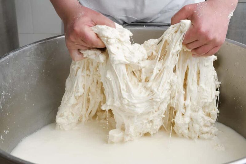 Vico Equense: Tour in the dairy "Mozzarella Experience" - FAQ