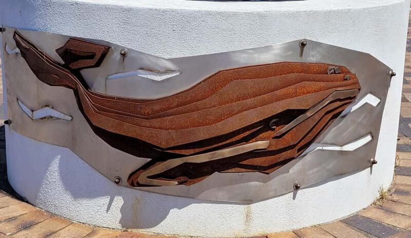 Victor Harbor: Shipwrecks & Settlers Walking Tour - Final Thoughts