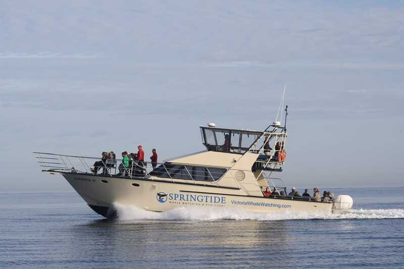 Victoria: 3-Hour Whale Watching Tour - FAQs
