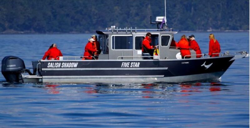 Victoria, BC: 3-Hour Ultimate Whale & Marine Wildlife Tour - The Sum Up