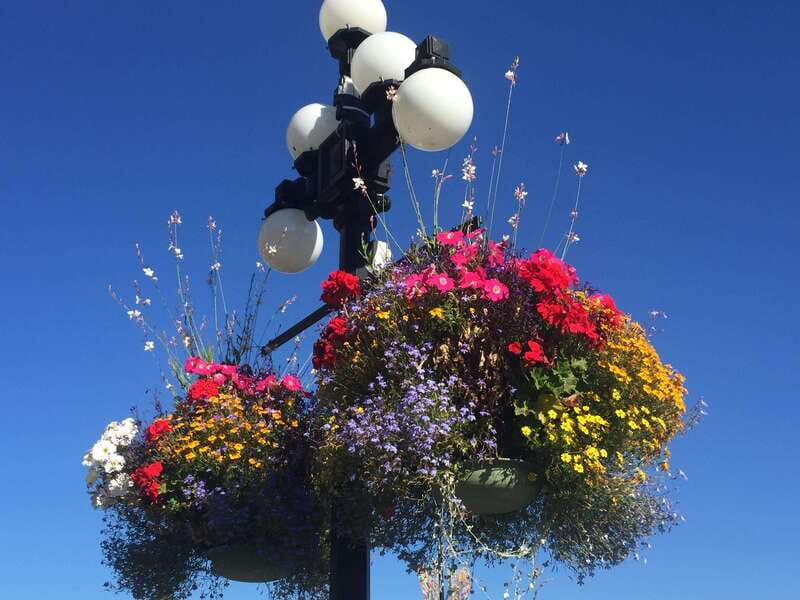 Victoria, BC: City Tour and Butchart Gardens Combo Tour - Who Should Book This Tour?