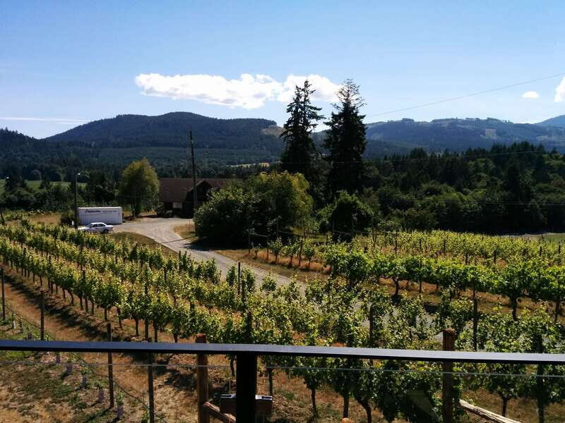 Victoria, BC: Food & Wine Tour to the Cowichan Valley - Key Points