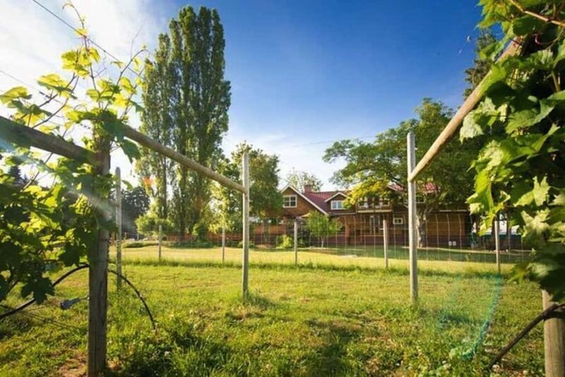 Victoria Boutique Winery Tour - Key Points