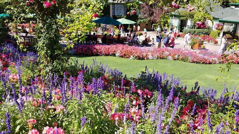 Victoria & Butchard Gardens Private Tour from Vancouver - Key Points