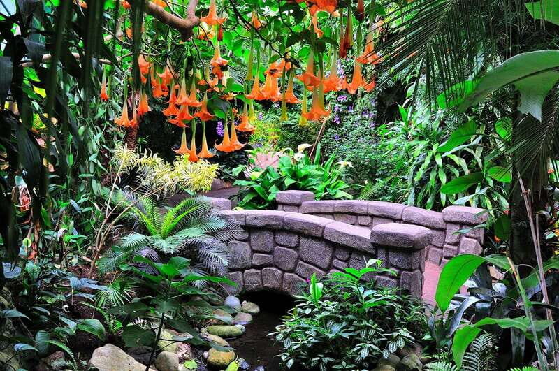 Victoria: Butterfly Gardens Admission Ticket - What to Expect at Victoria Butterfly Gardens