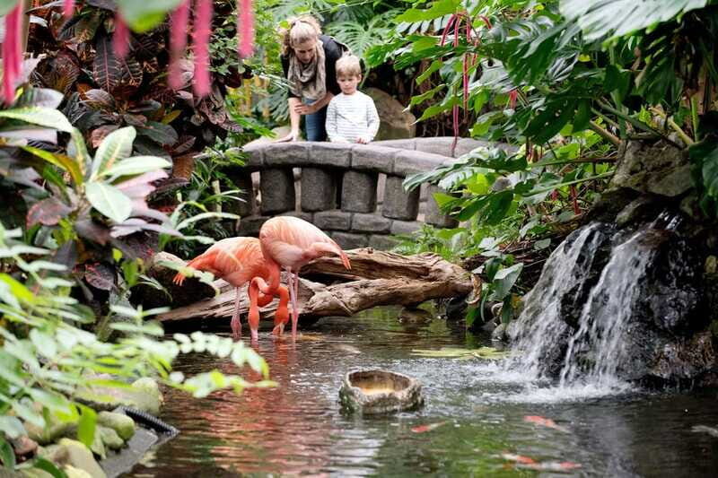Victoria: Butterfly Gardens Admission Ticket - Who Will Love This Experience?