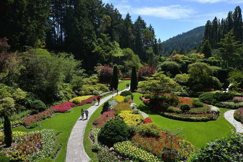 Victoria: City Highlights and Butchart Gardens Tour - Who Is This Tour Best For?