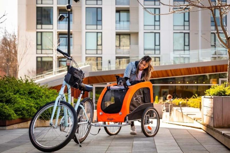 Victoria City Highlights Bike Tour - Castle Hoods & Legends - Who Should Consider This Tour