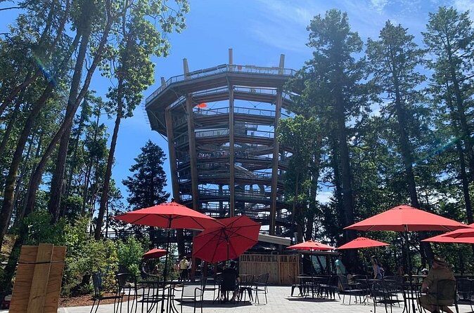 Victoria Day trip with Butchart Garden and Malahat Skywalk - Victoria’s Chinatown & Fan Tan Alley