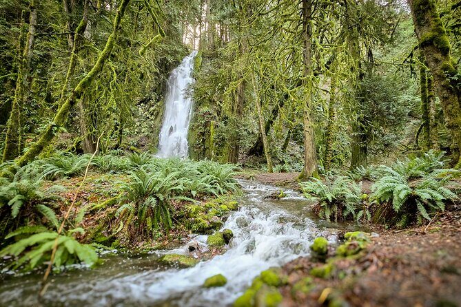 Victoria Ferry connector Waterfall Vista, Rainforest and Aquarium - FAQs
