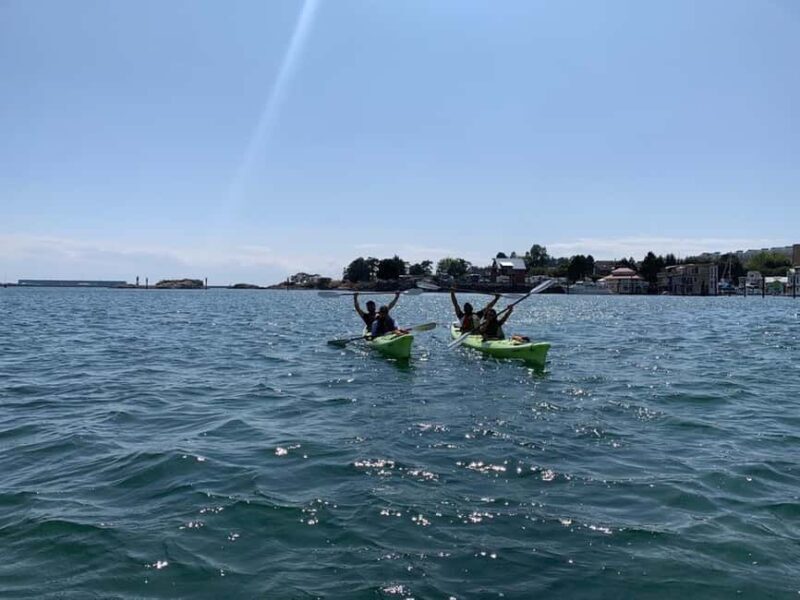 Victoria: Guided Kayak Tour Adventure - The Experience for Different Types of Travelers