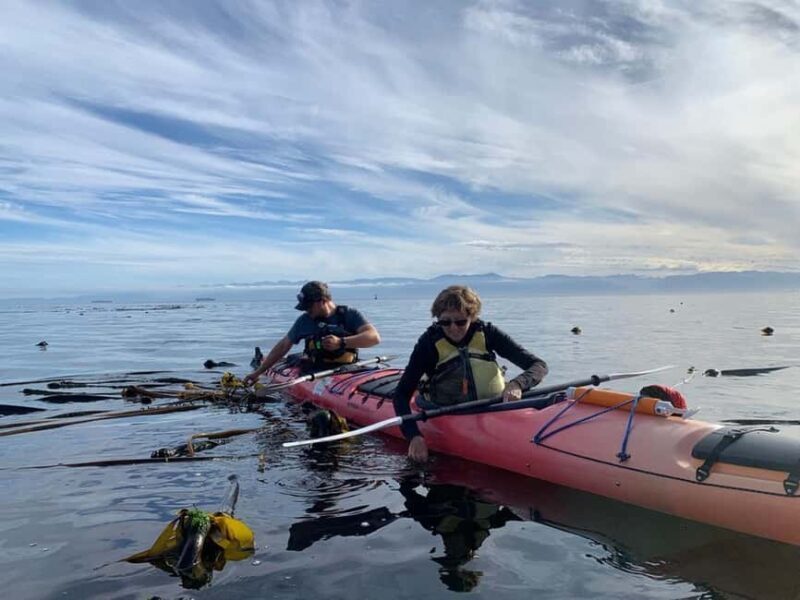 Victoria: Guided Kayak Tour Adventure - The Real Deal: What We Liked and What Could Be Better