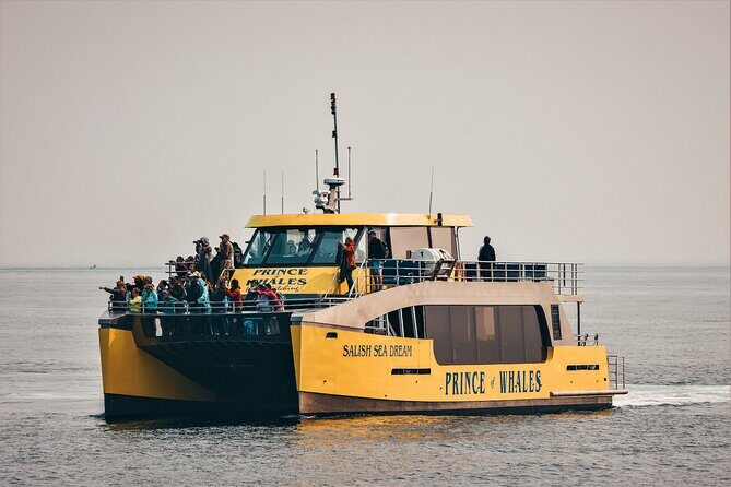 Victoria Half-Day Whale Watching Adventure with Free Photos - Who Would Love This Tour?