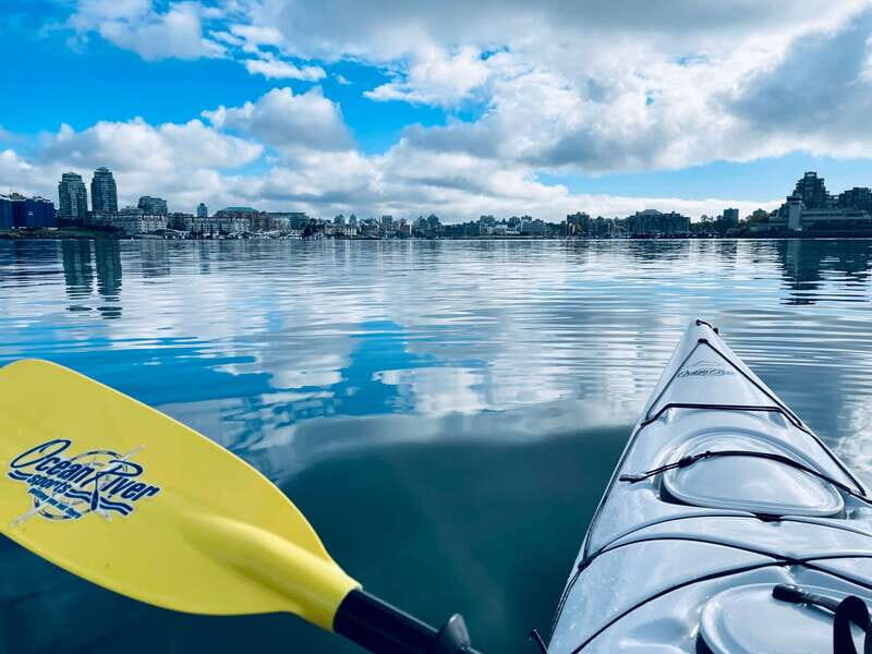Victoria: Kayak Harbour Tour - Wrapping Up