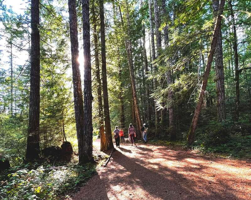 Victoria: Old Growth Rainforest Canyon Waterfall and Beaches - Final Thoughts