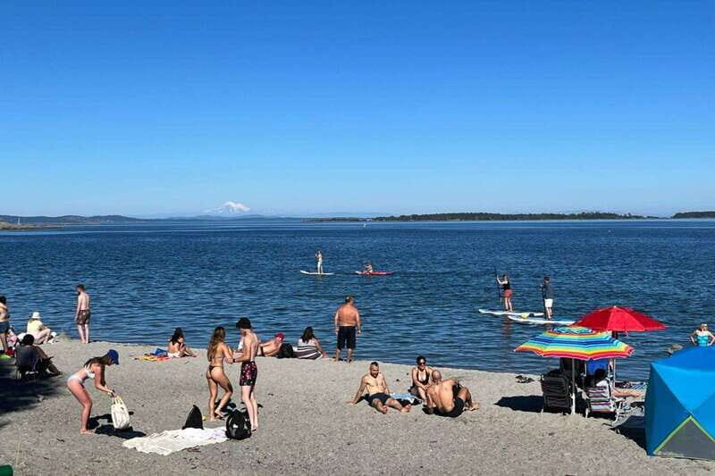 Victoria: Paddle Board Tour at Willows Beach - Final Thoughts