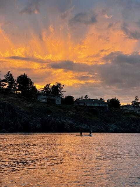 Victoria: Sunrise or Sunset SUP Tour - FAQ