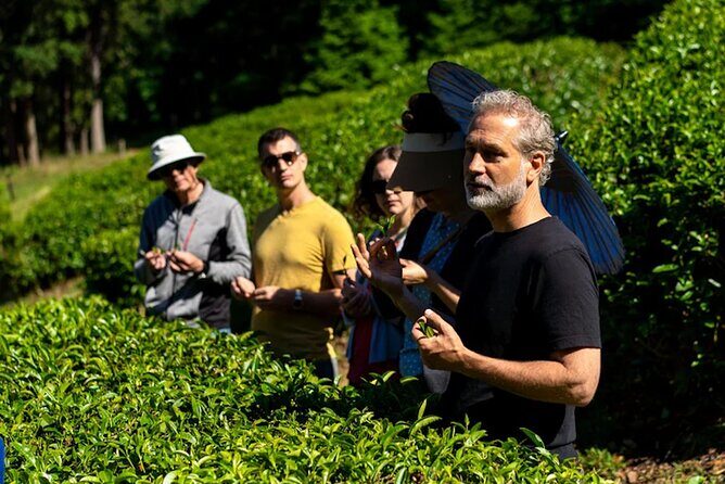 Victoria to Nanaimo Waterfall Wildlife Food Stops Along The Way - Exploring the Itinerary: What You Can Expect