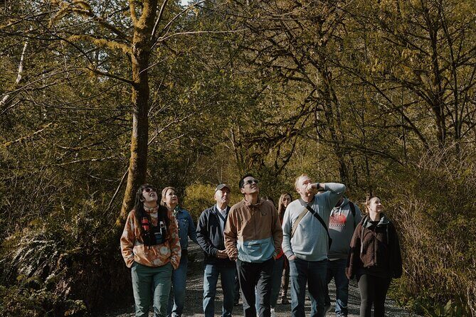 Victoria to Nanaimo Waterfall Wildlife Food Stops Along The Way - FAQ