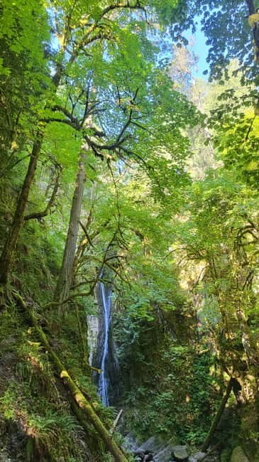 Victoria Waterfall, Skywalk, Beach Picnic, Castle and Whales - Key Points