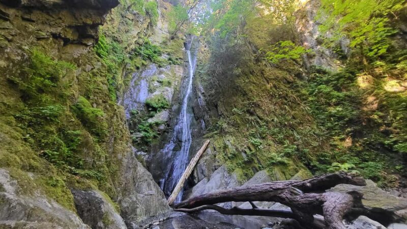 Victoria Waterfall, Skywalk, Beach Picnic, Castle and Whales - Who Should Consider This Tour?