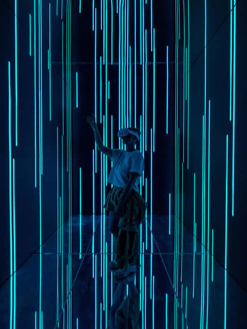 VIDENIE Immersive Art Space Entry Ticket - Key Points