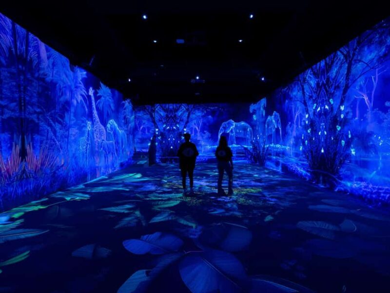 VIDENIE Immersive Art Space Entry Ticket - What Is VIDENIE and Why Is It Special?