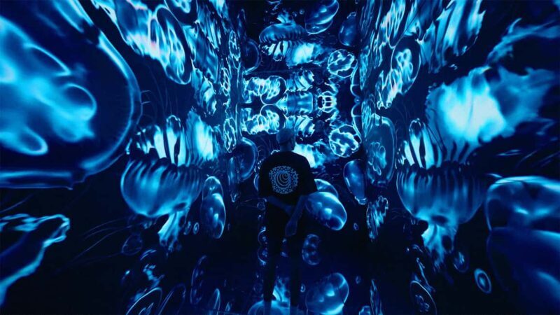 VIDENIE Immersive Art Space Entry Ticket - The Costs and Value