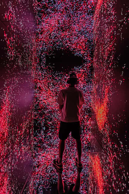 VIDENIE Immersive Art Space Entry Ticket - The Sum Up: Is VIDENIE Right for You?